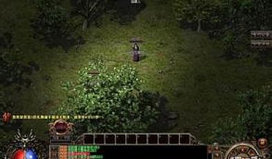 �γ����п�����������������ϸ