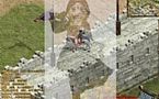 �����ս��ʦ��ο���ѧ������Ԫ��