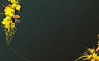 ħ����ʧ����,���������ģ�����֮�Ҹ�����