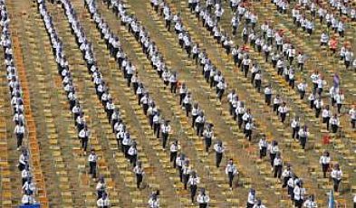 �ᵽū�ۺ�ţħ�������ڵİ���